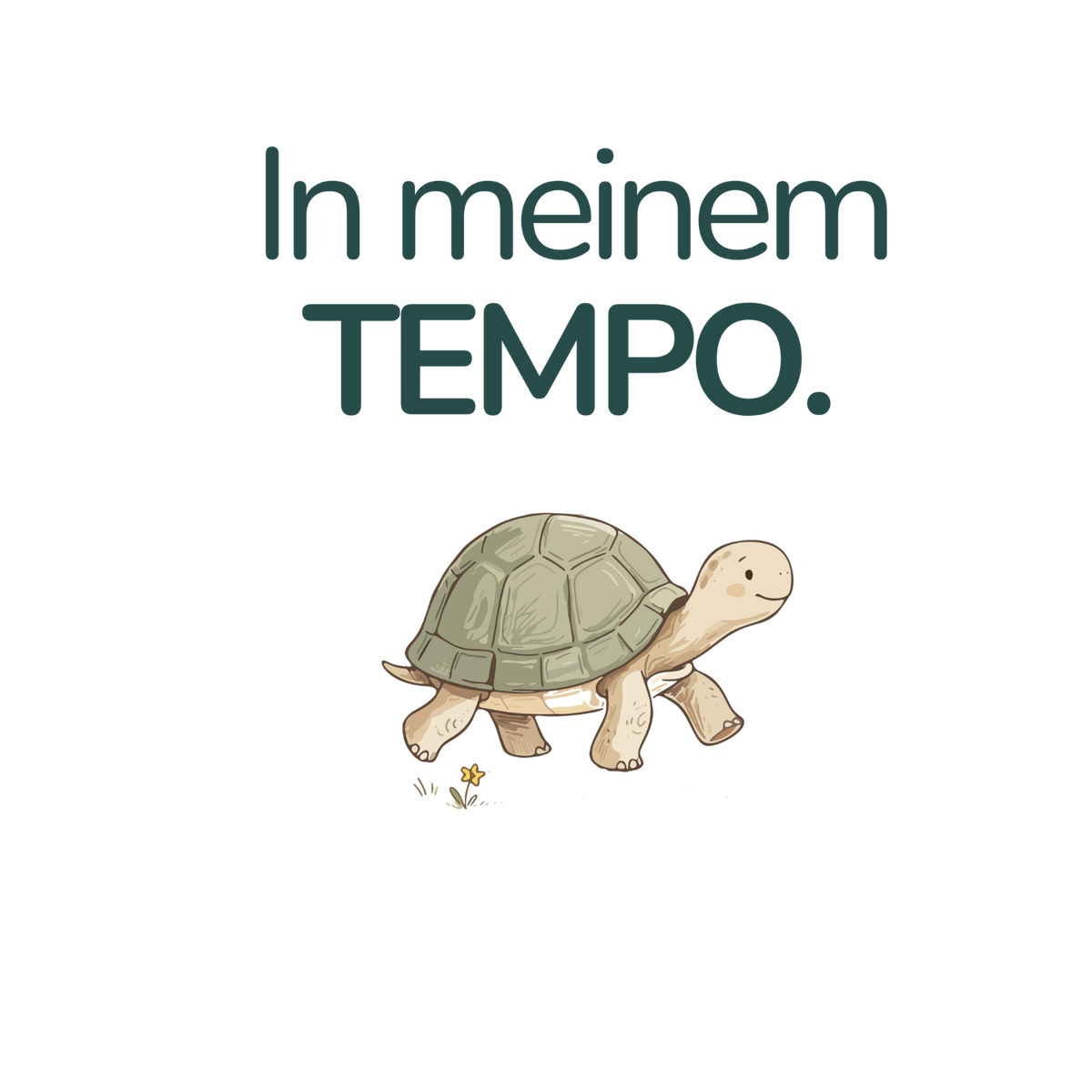 In meinem Tempo. – Schildkröte