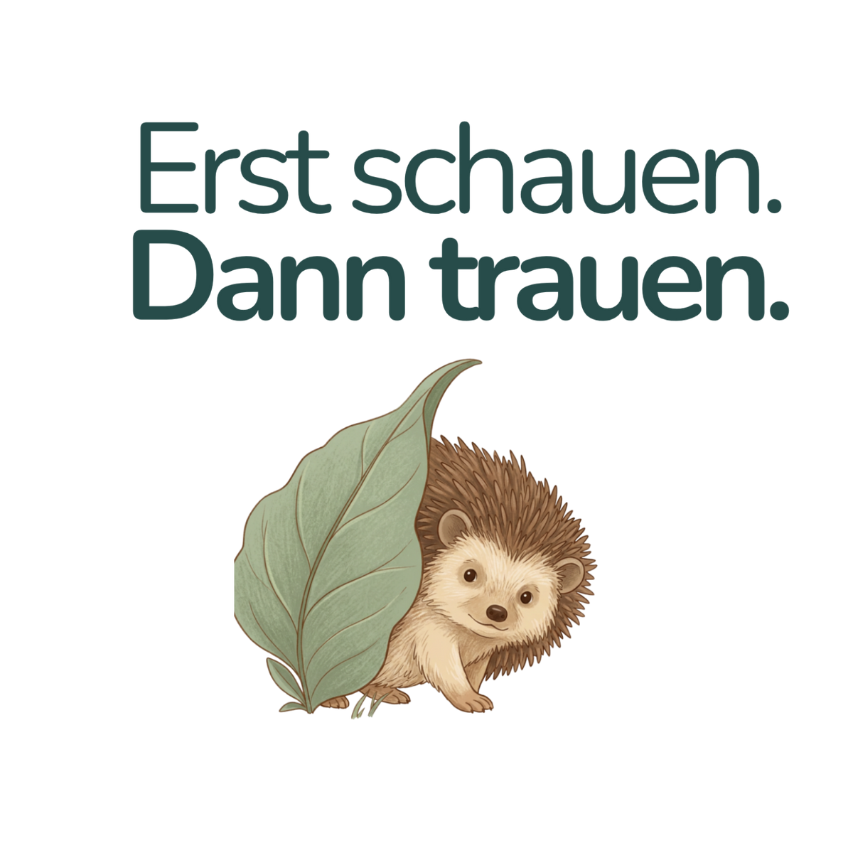 Erst schauen. Dann trauen. – Igel